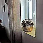 公寓 玛丽亚公寓 阿莫皮