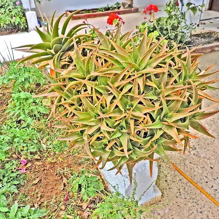 Maria Apartamento *
